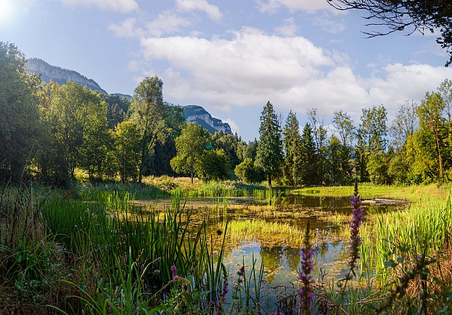 Les Fêtes de la Chartreuse - Visite environnementale du site de production Chartreuse®_Entre-deux-Guiers