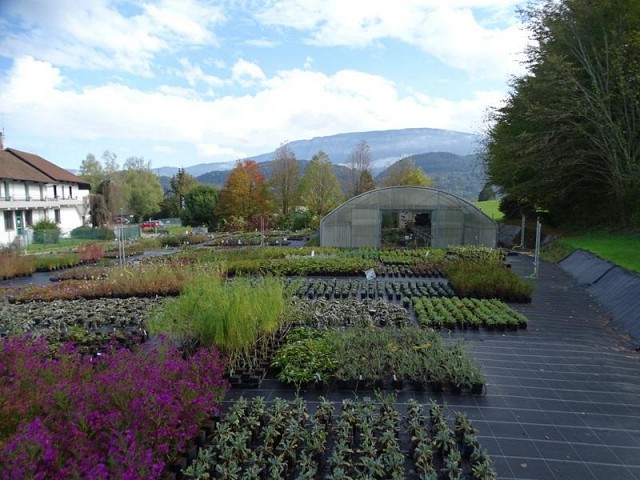 Portes ouvertes à la pépinière Flos Sabaudiae_La Bridoire