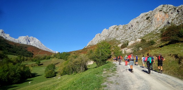 Balade guidée : Les plantes en Chartreuse_Voiron
