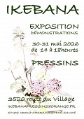 Exposition d’ikebana_Pressins