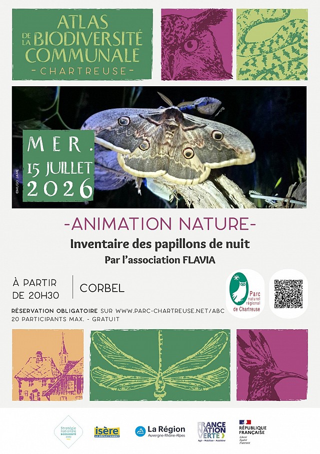 affiche animation