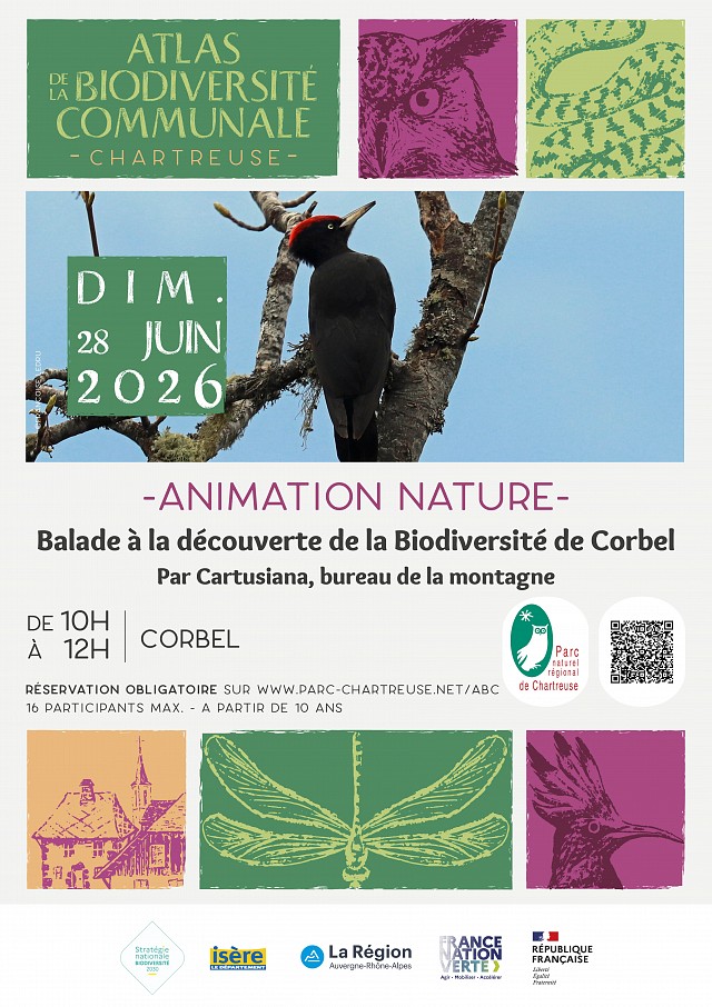affiche animation