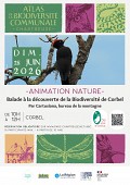 affiche animation