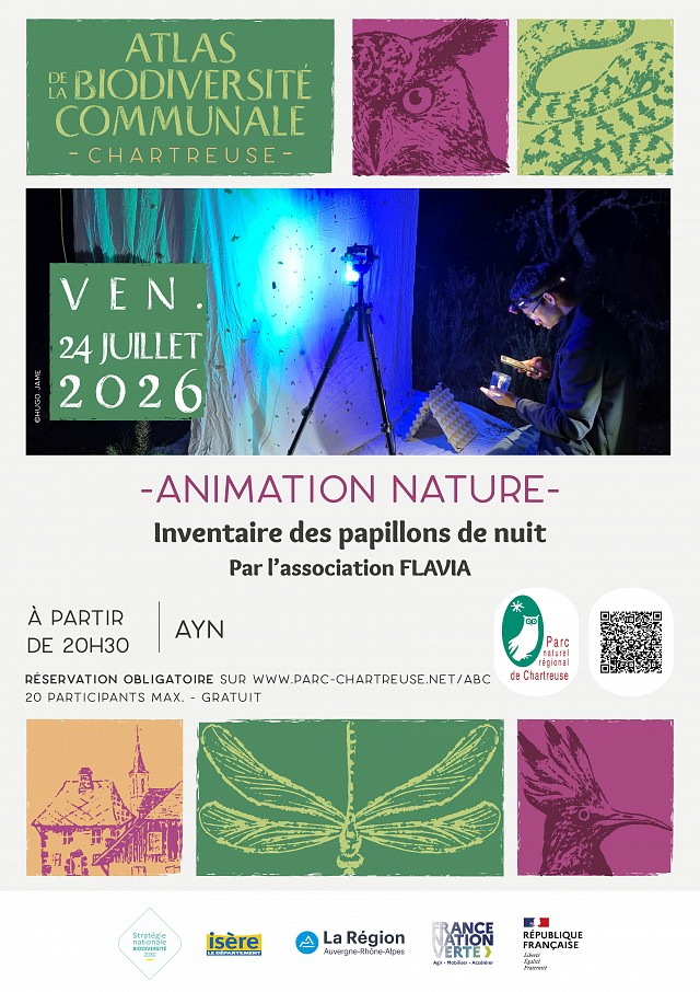 affiche animation