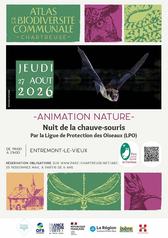 affiche animation