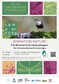 affiche animation