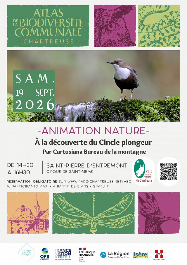 affiche animation