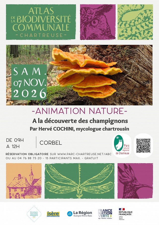 affiche animation