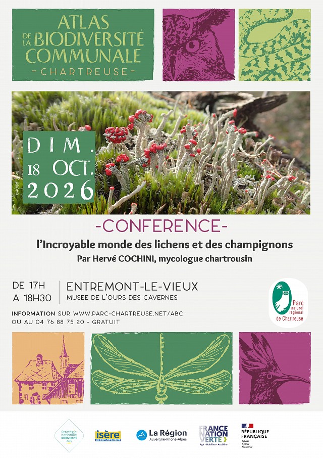 affiche conférence