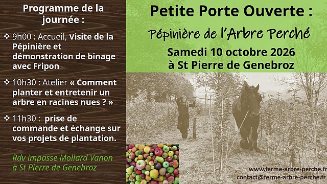 Petite porte ouverte à l'Arbre Perché_Saint-Pierre-de-Genebroz