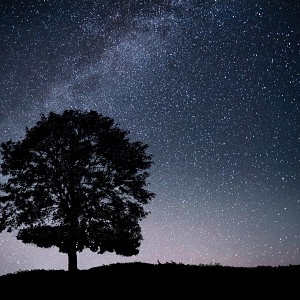 Nuit des étoiles_Miribel-les-Échelles Nuit des étoiles_Miribel-les-Échelles