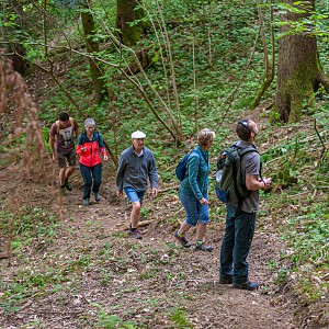 Les Fêtes de la Chartreuse - Visite de la forêt vitrine Sylv’acctes_Entre-deux-Guiers Les Fêtes de la Chartreuse - Visite de la forêt vitrine Sylv’acctes_Entre-deux-Guiers