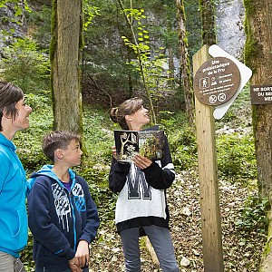 Sur le sentier de Magda Sur le sentier de Magda