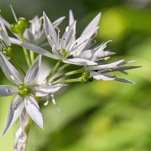 Marilyne Jouty Marilyne Jouty