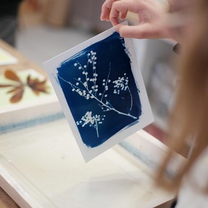 Atelier cyanotype adulte et enfant Atelier cyanotype adulte et enfant