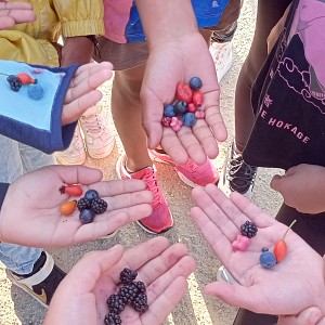 Création de bombe de graines_Billième Création de bombe de graines_Billième