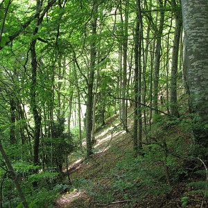 Les apprentis botanistes_Billième Les apprentis botanistes_Billième