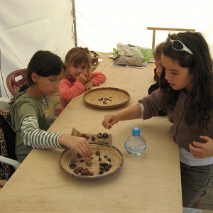 Graines et biodiversité_Billième Graines et biodiversité_Billième