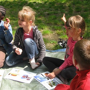 Huiles végétales_Billième Huiles végétales_Billième