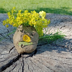 Les animaux imaginaires : créations végétales_Billième Les animaux imaginaires : créations végétales_Billième