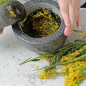 Peintures Végétales_Billième Peintures Végétales_Billième