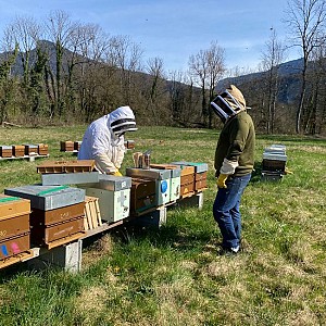 Découverte du rucher_Les Échelles Découverte du rucher_Les Échelles