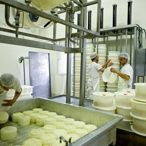 Fabrication du fromage Fabrication du fromage