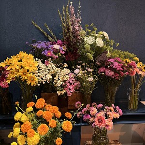 Coquelicot Coquelicot