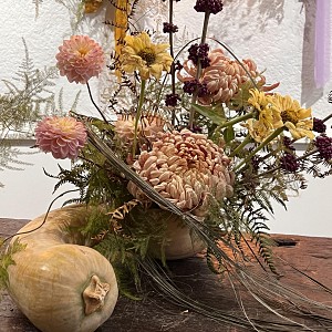 Coquelicot Coquelicot