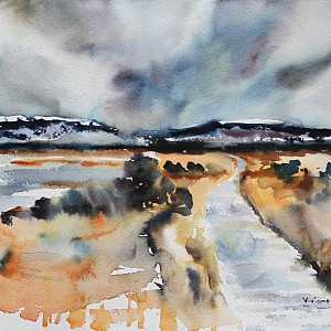 Paysage humide Paysage humide