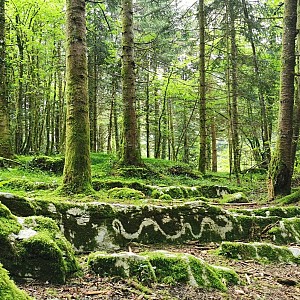 Balade contée « la Clairière enchantée »_Saint-Christophe-la-Grotte Balade contée « la Clairière enchantée »_Saint-Christophe-la-Grotte