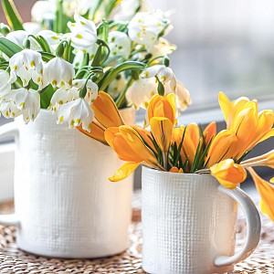 Décore ta bibliothèque !_Saint-Genix-les-Villages Décore ta bibliothèque !_Saint-Genix-les-Villages