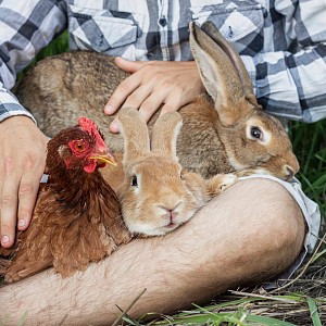 La petite visite de l'Arche de Julie_Saint-Genix-les-Villages La petite visite de l'Arche de Julie_Saint-Genix-les-Villages