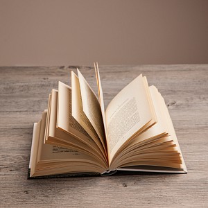 Rencontre littéraire - Bibliothèque du Guiers_Saint-Genix-les-Villages Rencontre littéraire - Bibliothèque du Guiers_Saint-Genix-les-Villages