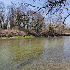Accueil Bavard Café_Saint-Genix-les-Villages Accueil Bavard Café_Saint-Genix-les-Villages