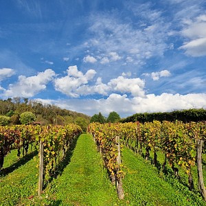 Portes ouvertes Le Cellier de Joudin_Saint-Genix-les-Villages Portes ouvertes Le Cellier de Joudin_Saint-Genix-les-Villages