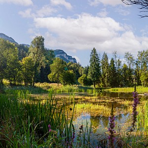 Les Fêtes de la Chartreuse - Visite environnementale du site de production Chartreuse®_Entre-deux-Guiers Les Fêtes de la Chartreuse - Visite environnementale du site de production Chartreuse®_Entre-deux-Guiers