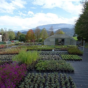 Portes ouvertes à la pépinière Flos Sabaudiae_La Bridoire Portes ouvertes à la pépinière Flos Sabaudiae_La Bridoire