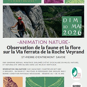 PNR Chartreuse PNR Chartreuse