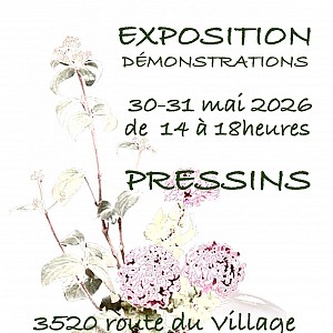 Exposition d’ikebana_Pressins Exposition d’ikebana_Pressins