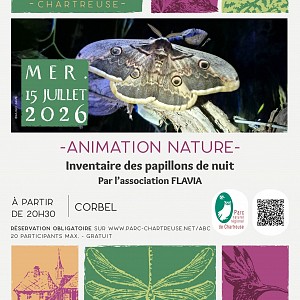 affiche animation affiche animation