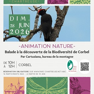 affiche animation affiche animation
