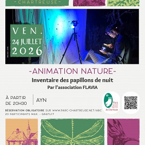 affiche animation affiche animation