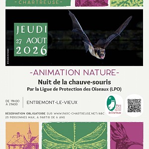 affiche animation affiche animation