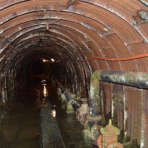 dsc_0679.jpg dsc_0679.jpg