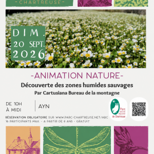 Découverte des zones humides d'Ayn_Ayn Découverte des zones humides d'Ayn_Ayn