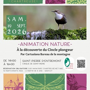 affiche animation affiche animation
