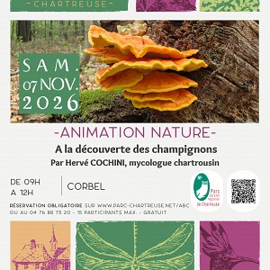 affiche animation affiche animation